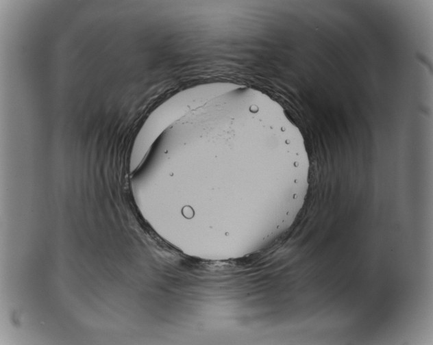 X0000099410527200806060934