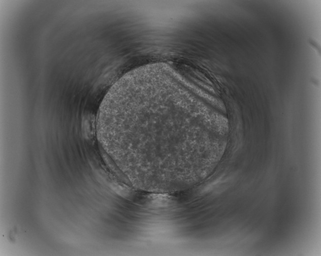 X0000099410528200806060934