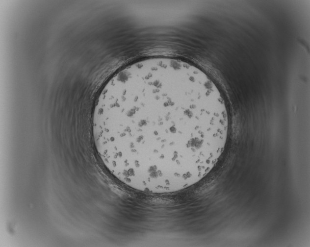 X0000099410529200806060934