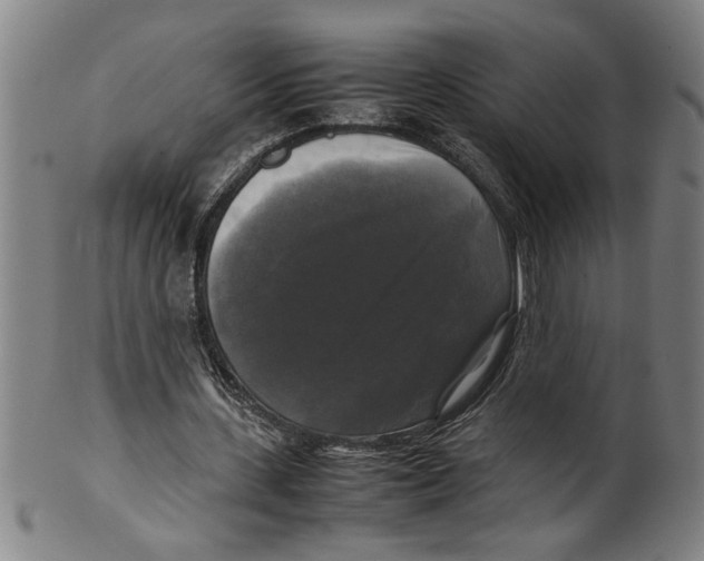 X0000099410531200806060934