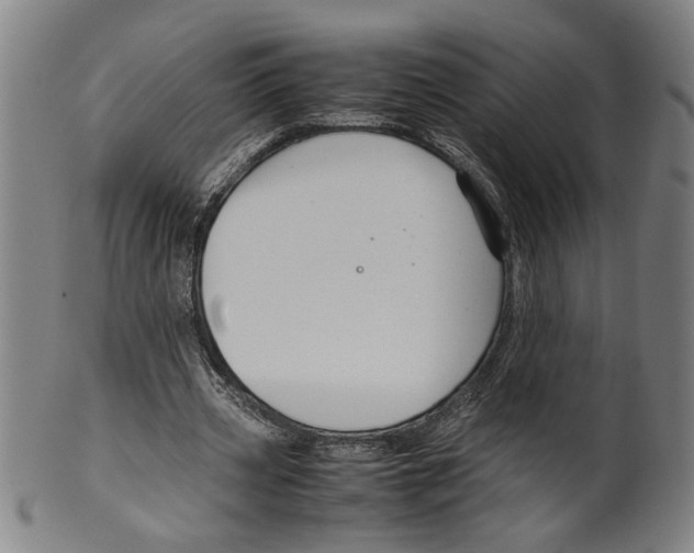 X0000099410533200806060934