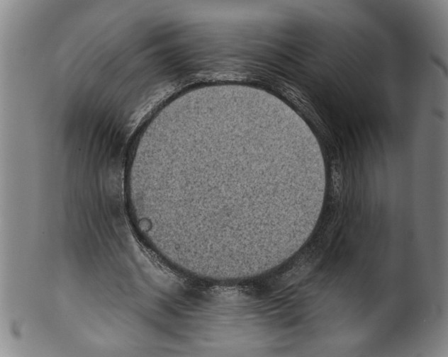 X0000099410534200806060934