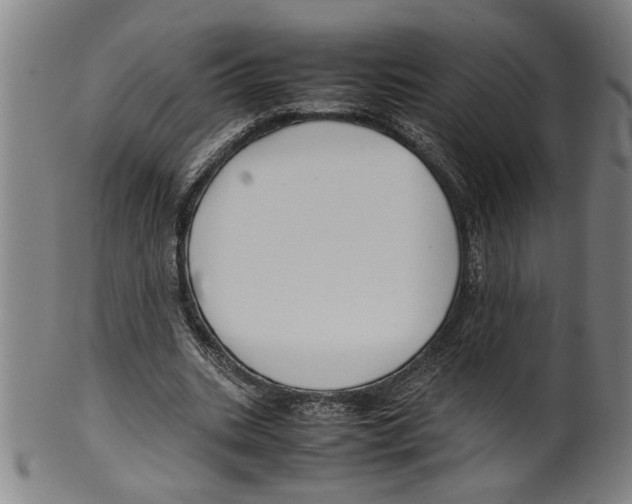 X0000099410535200806060934