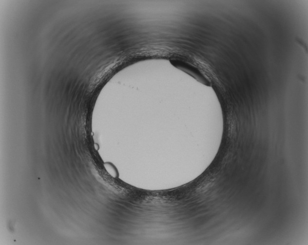 X0000099410538200806060934