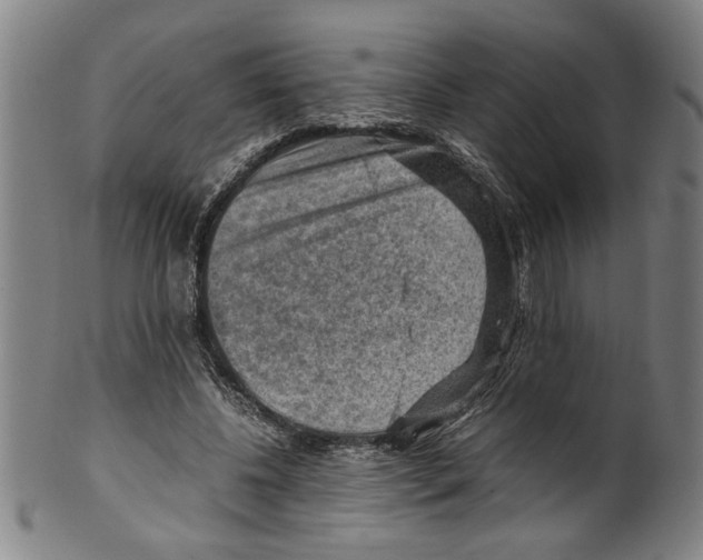 X0000099410540200806060934