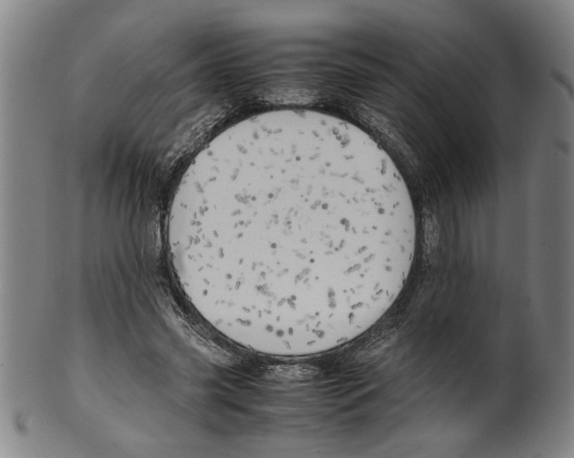 X0000099410541200806060934