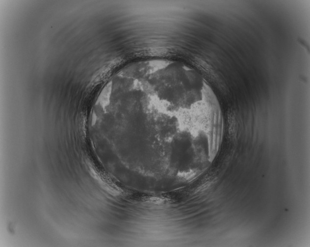 X0000099410542200806060934