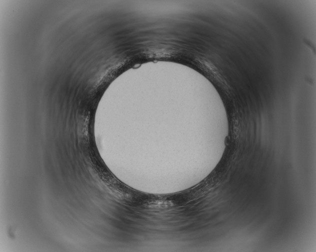 X0000099410543200806060934