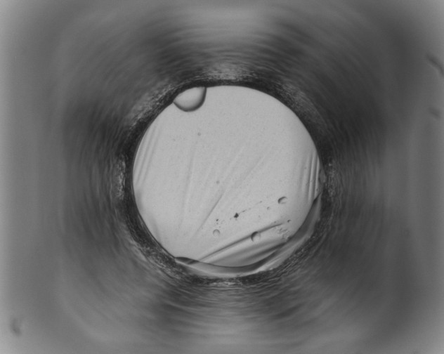 X0000099410544200806060934