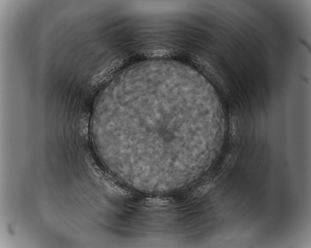 X0000099410545200806060934