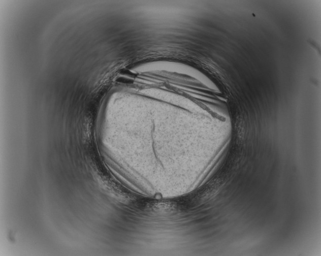 X0000099410546200806060934