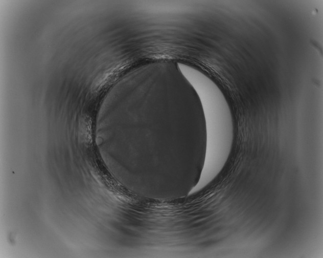 X0000099410547200806060934