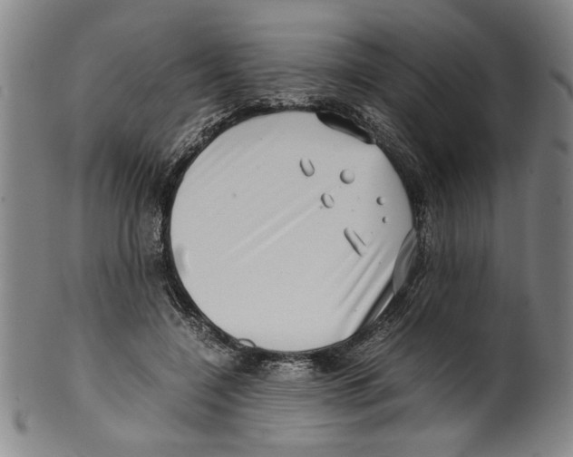 X0000099410548200806060934