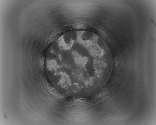 X0000099410550200806060934