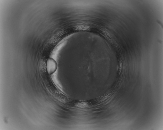 X0000099410551200806060934