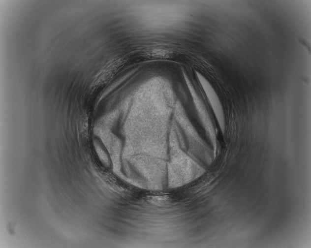 X0000099410552200806060934