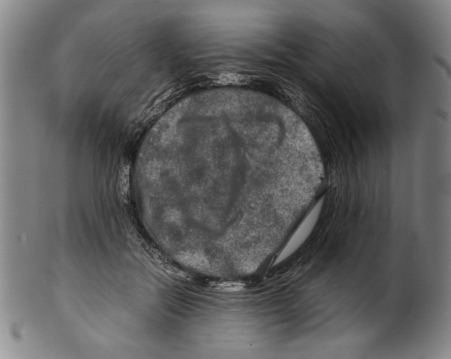 X0000099410554200806060934