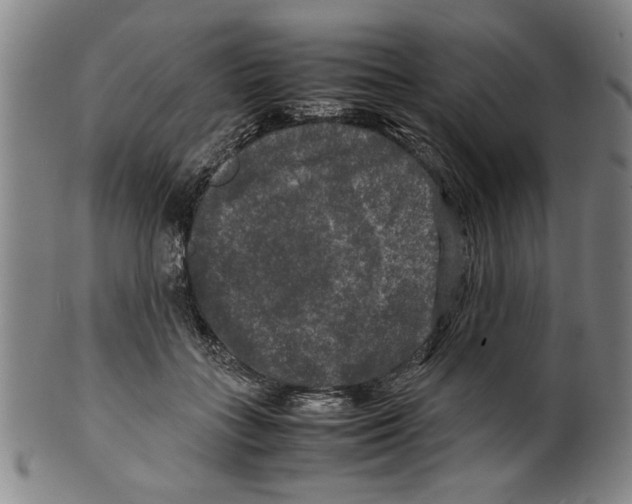 X0000099410555200806060934