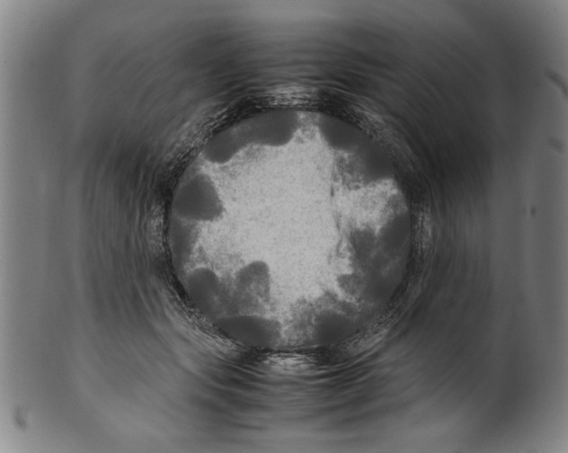 X0000099410557200806060934