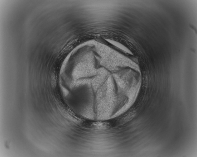 X0000099410558200806060934