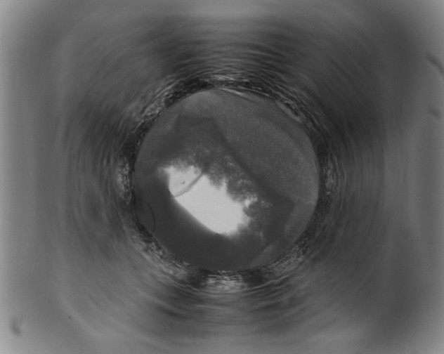 X0000099410559200806060934