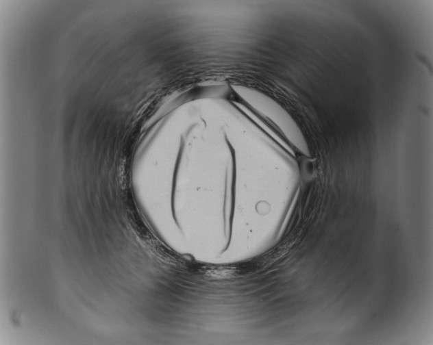 X0000099410560200806060934