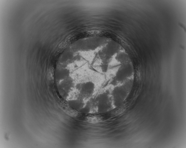 X0000099410561200806060934