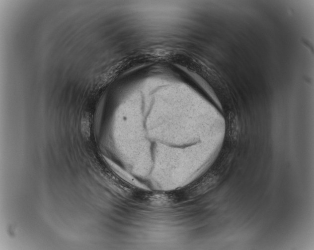 X0000099410562200806060934