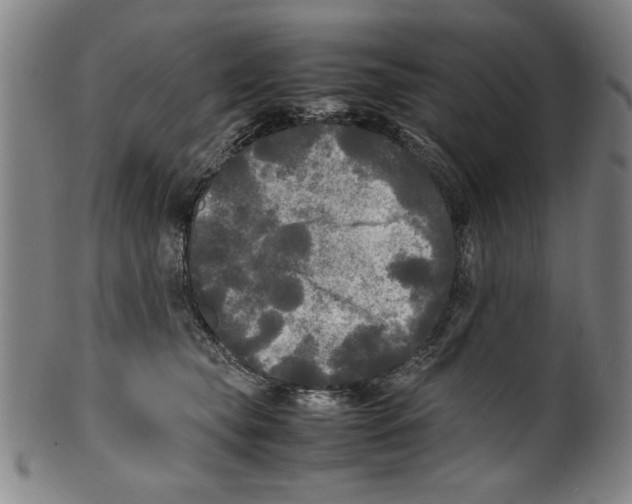 X0000099410565200806060934