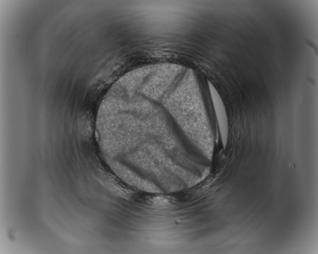 X0000099410566200806060934