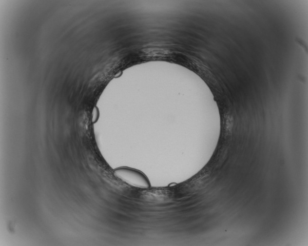 X0000099410567200806060934