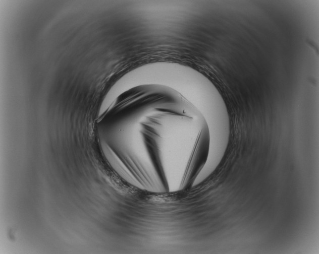 X0000099410568200806060934