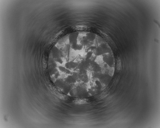 X0000099410569200806060934