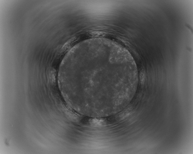 X0000099410570200806060934