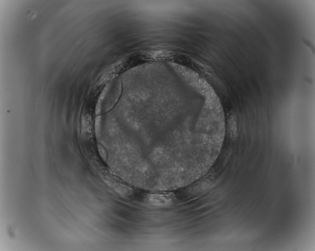 X0000099410571200806060934