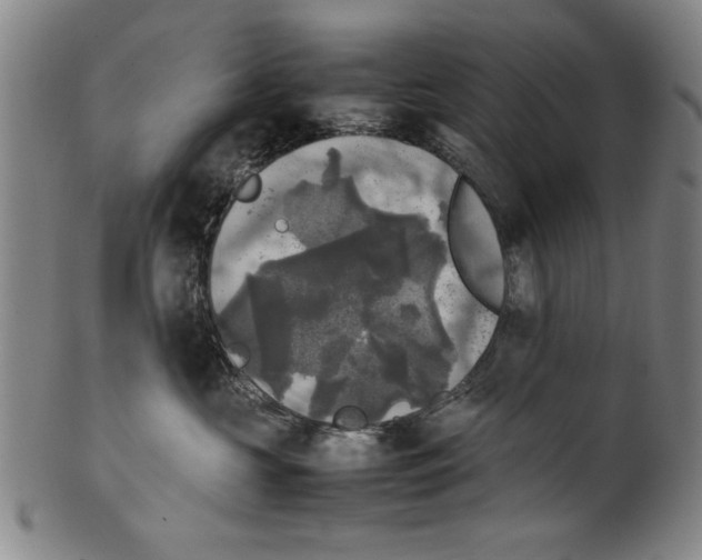 X0000099410573200806060934