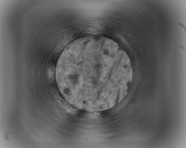 X0000099410576200806060934