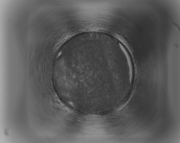 X0000099410577200806060934