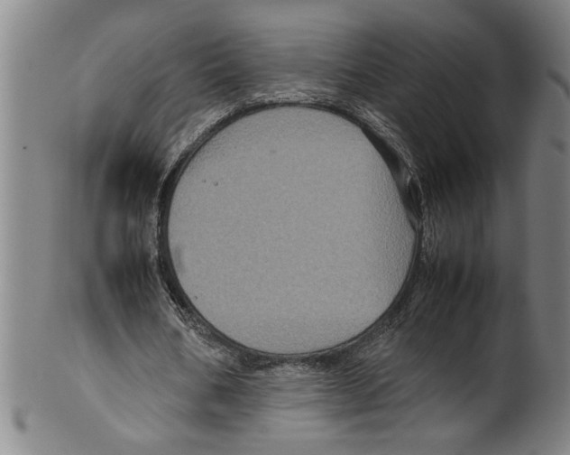 X0000099410578200806060934