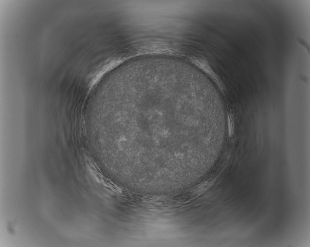 X0000099410579200806060934