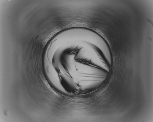 X0000099410581200806060934