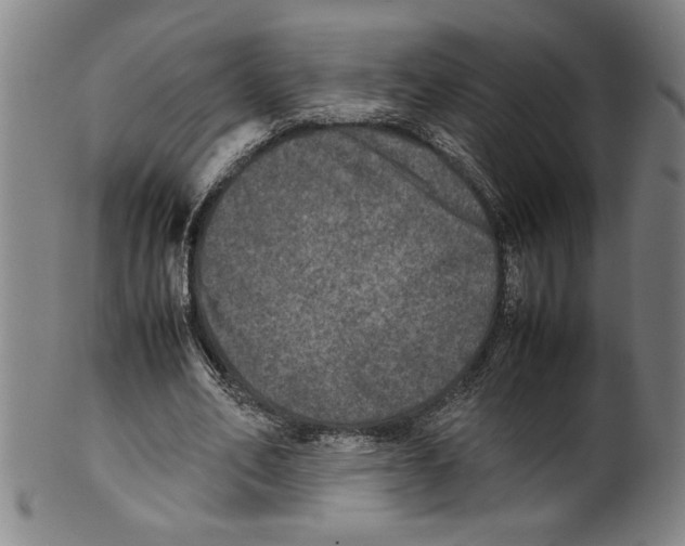 X0000099410582200806060934