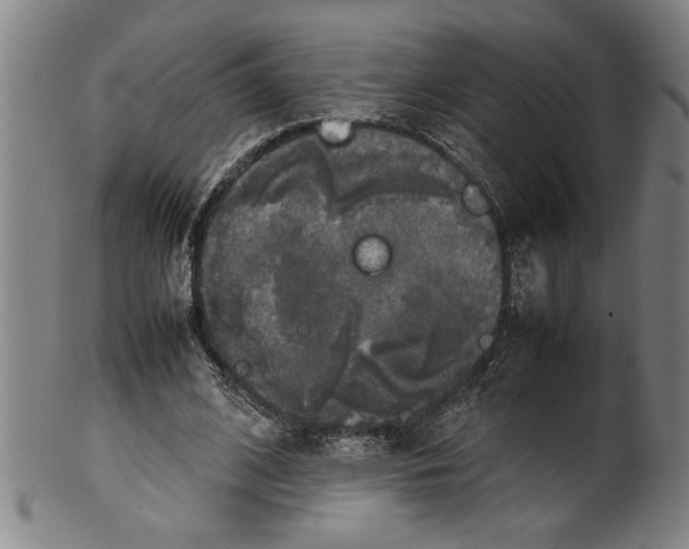 X0000099410584200806060934