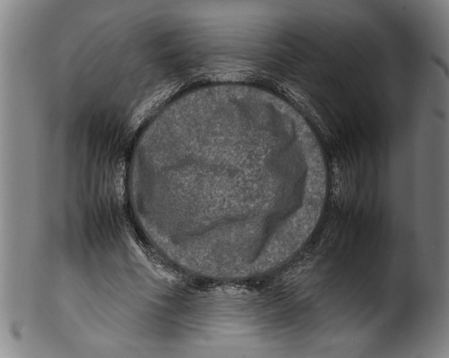 X0000099410586200806060934