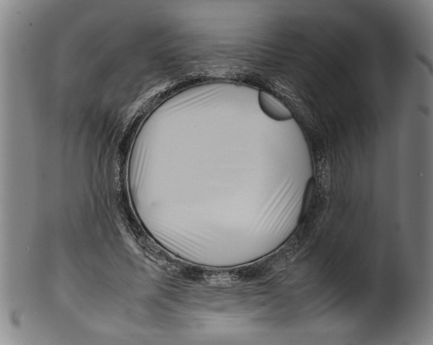 X0000099410587200806060934