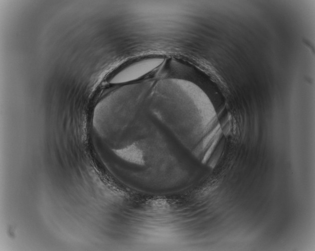 X0000099410588200806060934