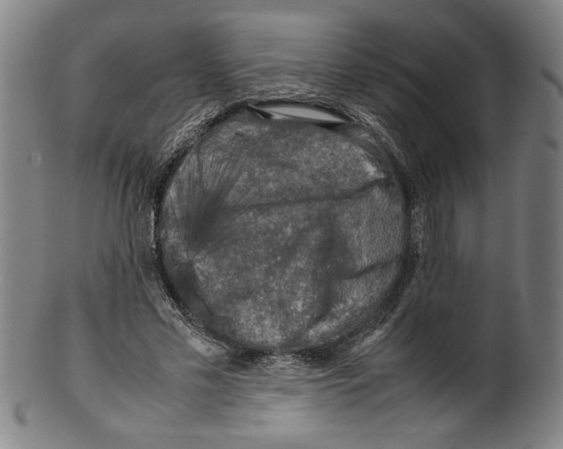 X0000099410589200806060934