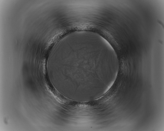 X0000099410590200806060934