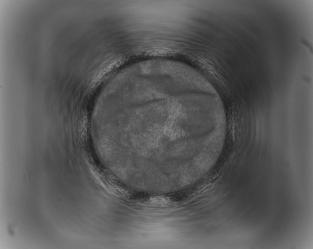 X0000099410591200806060934