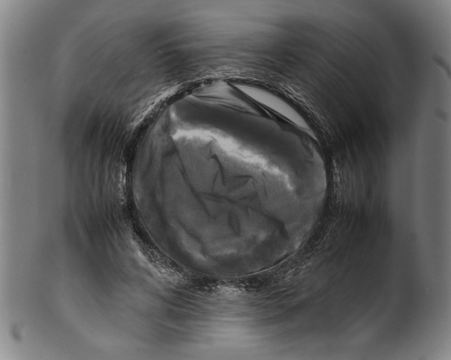 X0000099410592200806060934